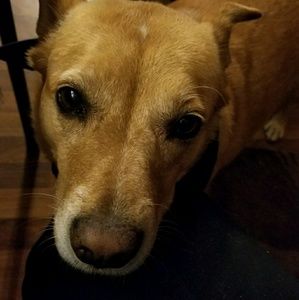 Meet your Posher, Lori